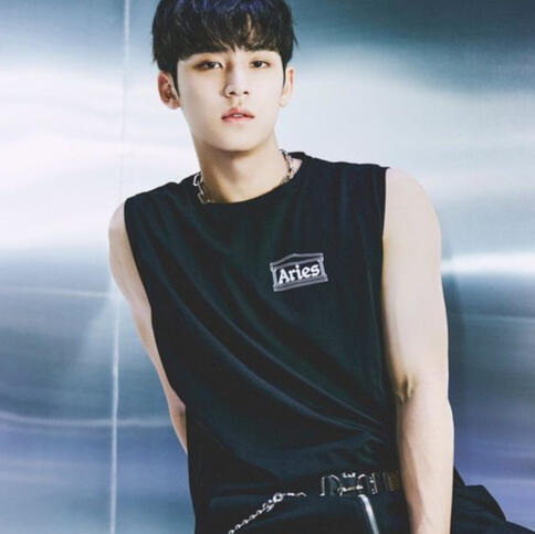 Kim Mingyu